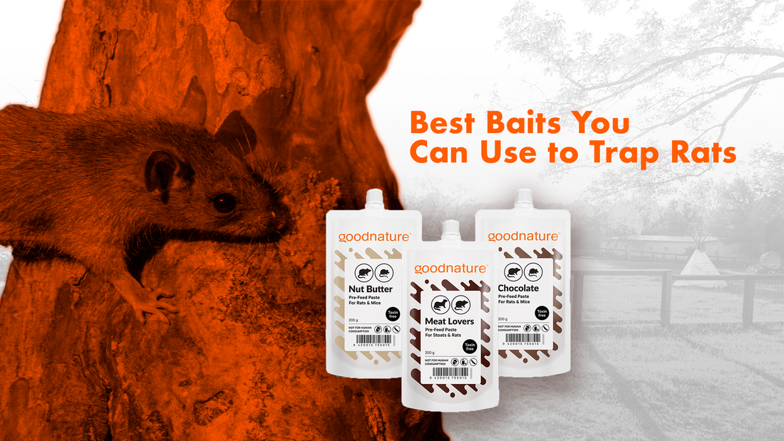 Baits for Mice