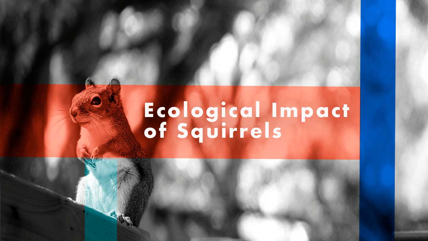 Squirrels' Ecological Impact: A Closer Look at Their Role in Ecosystems