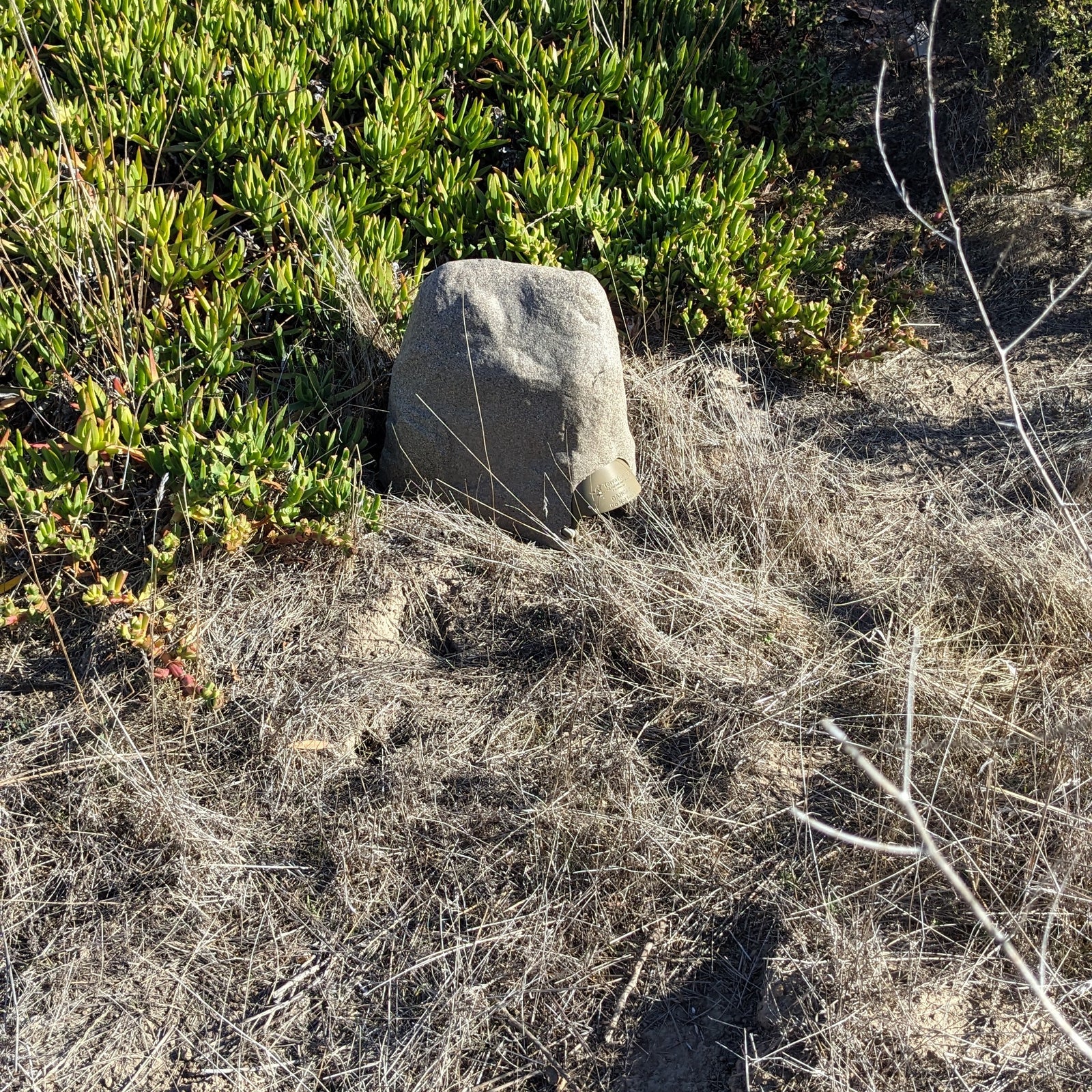 TerraTrap Ground Squirrel Kit | Pre-Order April 2025